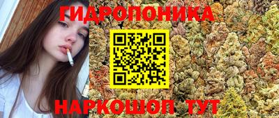 скорость Кунгур